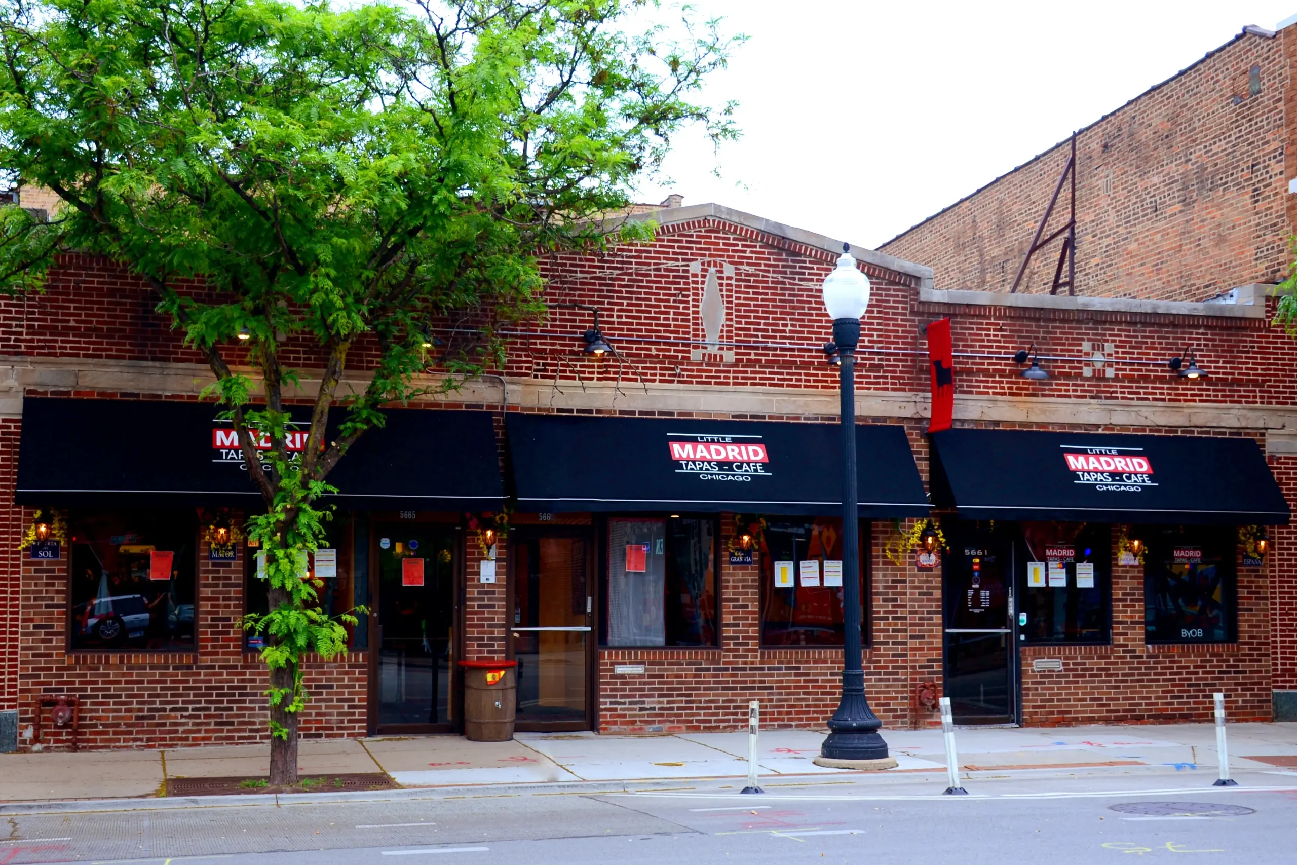 DSC 6996 Copy Scaled